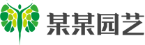 波胆足球